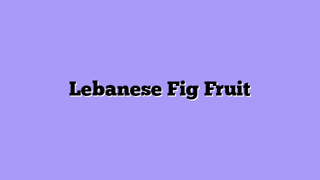 Lebanese Fig Fruit