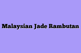 Malaysian Jade Rambutan