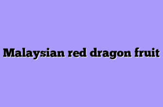 Malaysian red dragon fruit