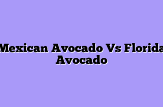 Mexican Avocado Vs Florida Avocado