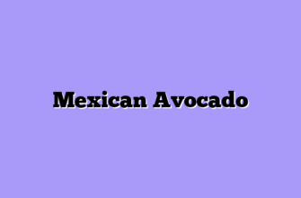 Mexican Avocado