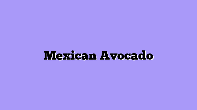 Mexican Avocado