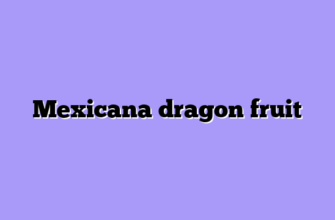 Mexicana dragon fruit