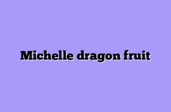 Michelle dragon fruit