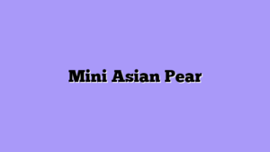 Mini Asian Pear