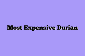 Most Expensive Durian