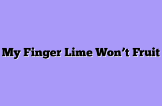 My Finger Lime Won’t Fruit