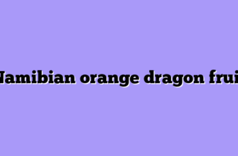 Namibian orange dragon fruit