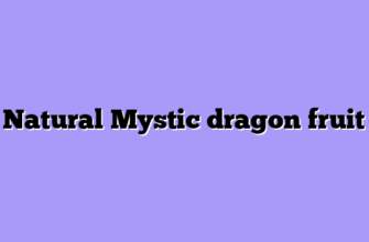 Natural Mystic dragon fruit