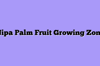 Nipa Palm Fruit Growing Zone