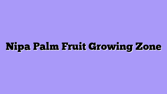 Nipa Palm Fruit Growing Zone