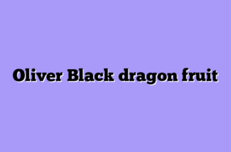 Oliver Black dragon fruit