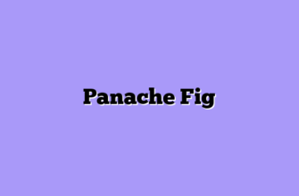 Panache Fig