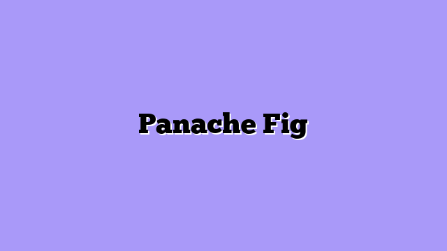 Panache Fig