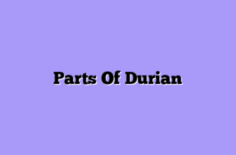 Parts Of Durian