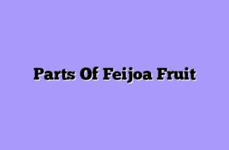 Parts Of Feijoa Fruit