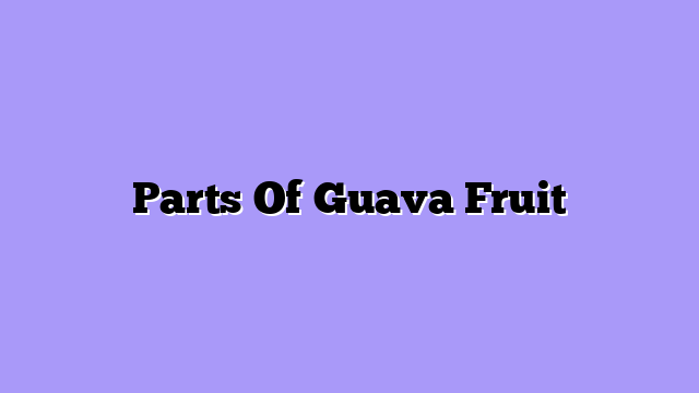Parts Of Guava Fruit