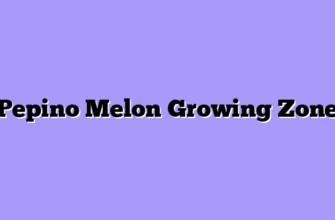 Pepino Melon Growing Zone