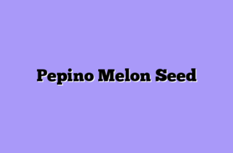 Pepino Melon Seed