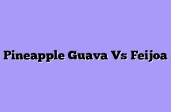 Pineapple Guava Vs Feijoa