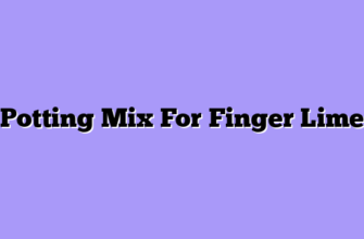 Potting Mix For Finger Lime