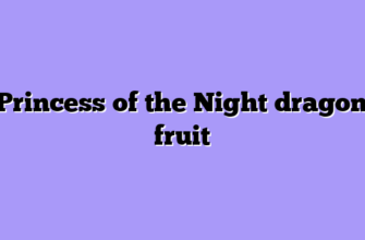 Princess of the Night dragon fruit