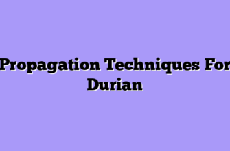Propagation Techniques For Durian