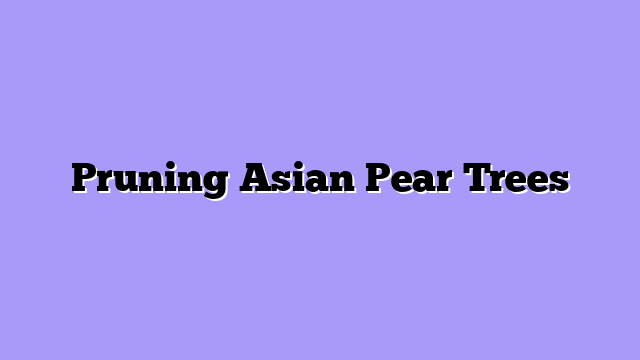 Pruning Asian Pear Trees