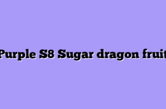Purple S8 Sugar dragon fruit