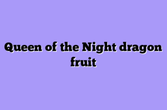 Queen of the Night dragon fruit