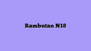 Rambutan N18