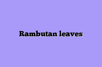 Rambutan leaves