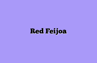 Red Feijoa