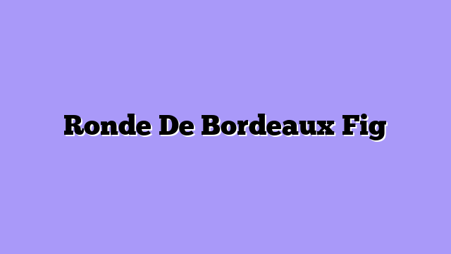 Ronde De Bordeaux Fig
