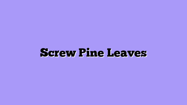 Screw Pine Leaves