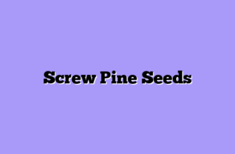 Screw Pine Seeds