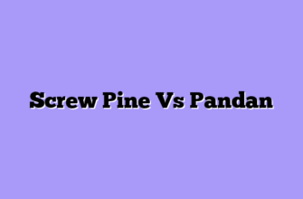 Screw Pine Vs Pandan