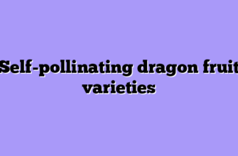 Self-pollinating dragon fruit varieties