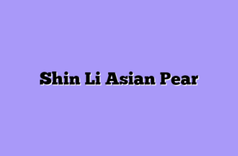 Shin Li Asian Pear