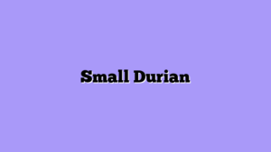 Small Durian