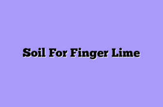 Soil For Finger Lime