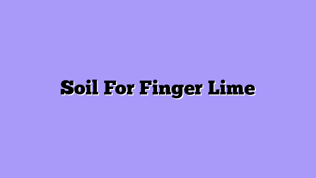 Soil For Finger Lime