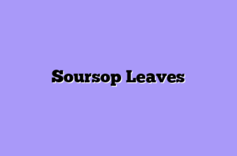 Soursop Leaves