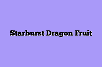 Starburst Dragon Fruit