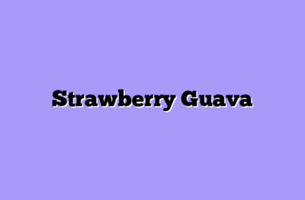 Strawberry Guava