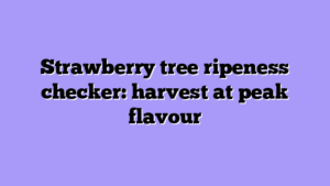 Strawberry tree ripeness checker: harvest at peak flavour
