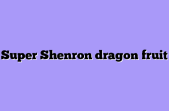 Super Shenron dragon fruit