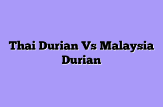 Thai Durian Vs Malaysia Durian