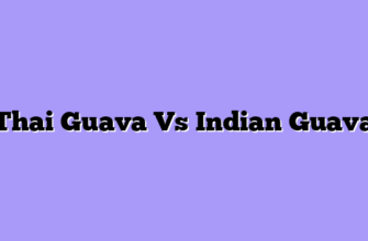 Thai Guava Vs Indian Guava