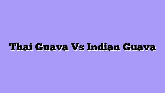 Thai Guava Vs Indian Guava